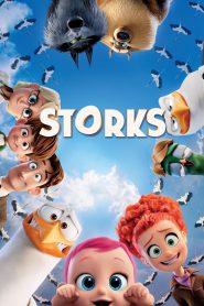 Storks